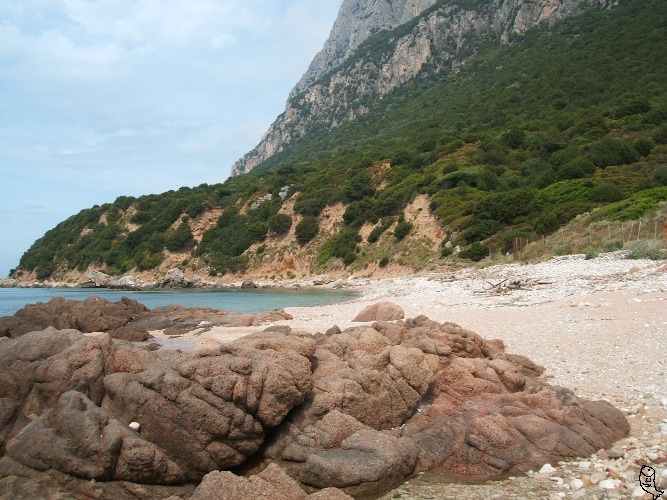 Spalamatore di Fuori