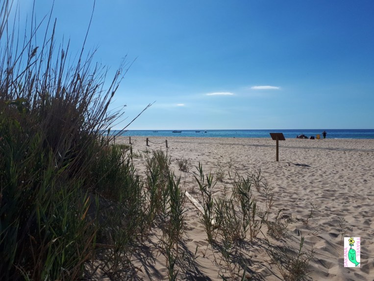 Dallo stagno verso monte Cogoni