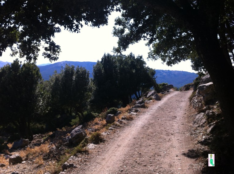 Path to Monte Novo San Giovanni Orgosolo