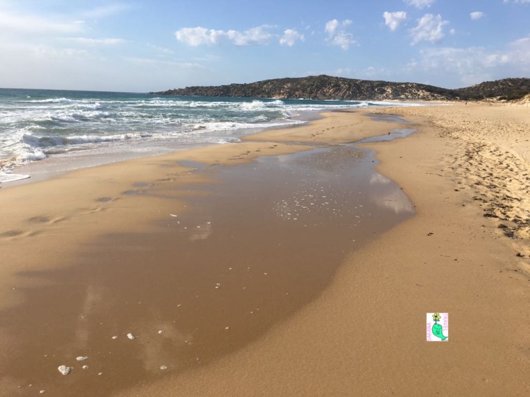 Su Giudeu beach 3 AF