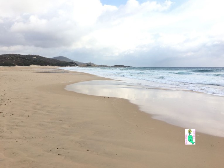 Su Giudeu beach 5 AF