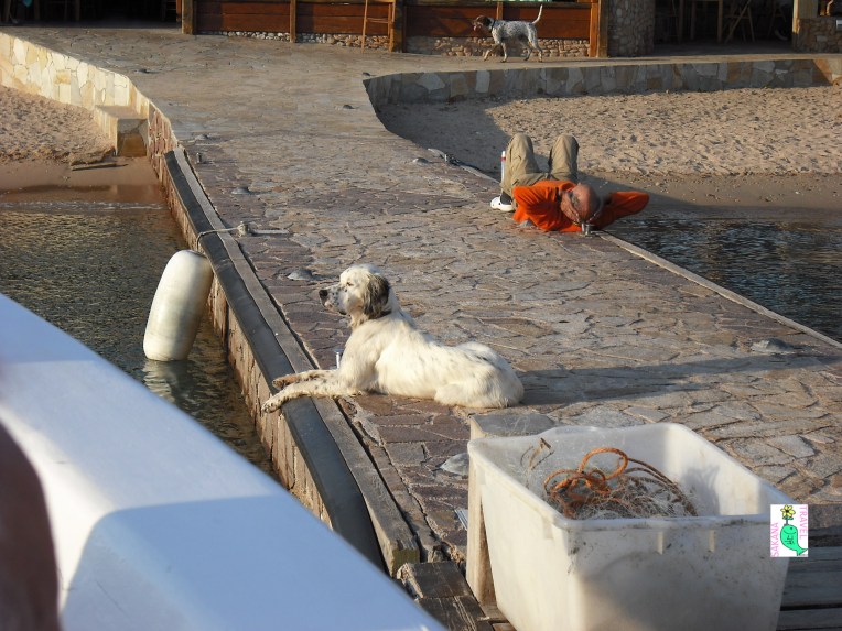 Fisherman and dog.JPG