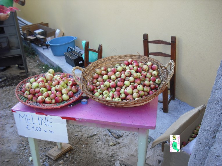 Gavoi apples