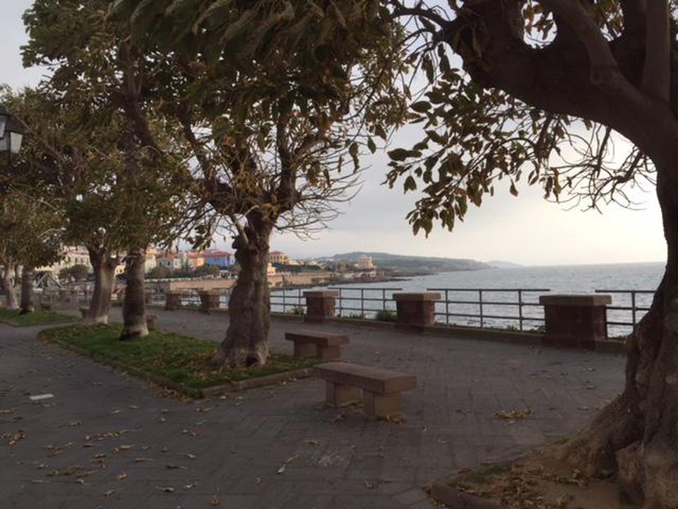 https___blogs-images.forbes.com_johnmariani_files_2018_05_IMG_3528