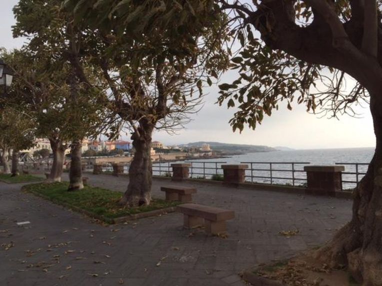 https___blogs-images.forbes.com_johnmariani_files_2018_05_IMG_3528