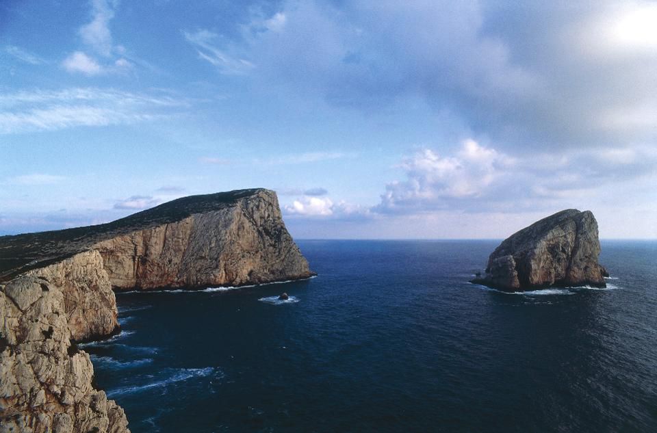 https___specials-images.forbesimg.com_dam_imageserve_900883176_960x0