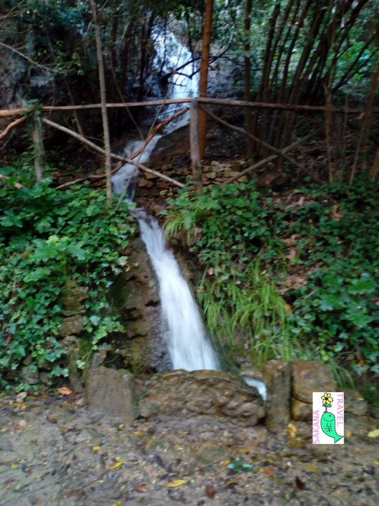 Parco Aymerich Laconi Stream